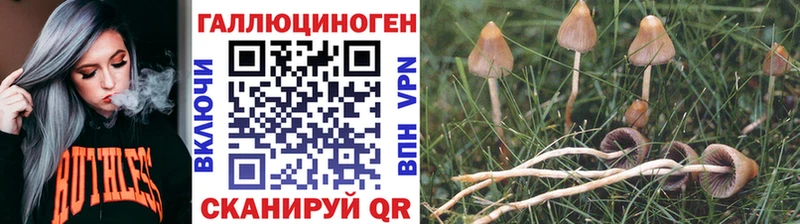 Псилоцибиновые грибы прущие грибы Костерёво
