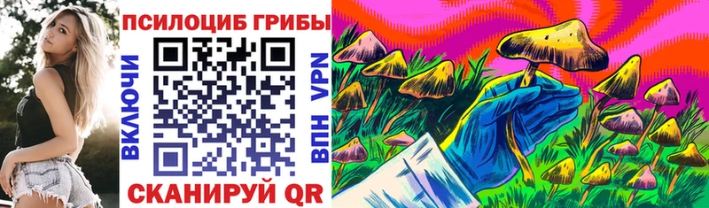 omg   Костерёво  Галлюциногенные грибы Psilocybe 